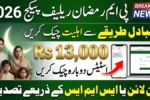 Alternative Ways to Check Eligibility for PM Ramzan Relief Package 2026