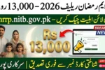 pmrrp.nitb.gov.pk Portal Live